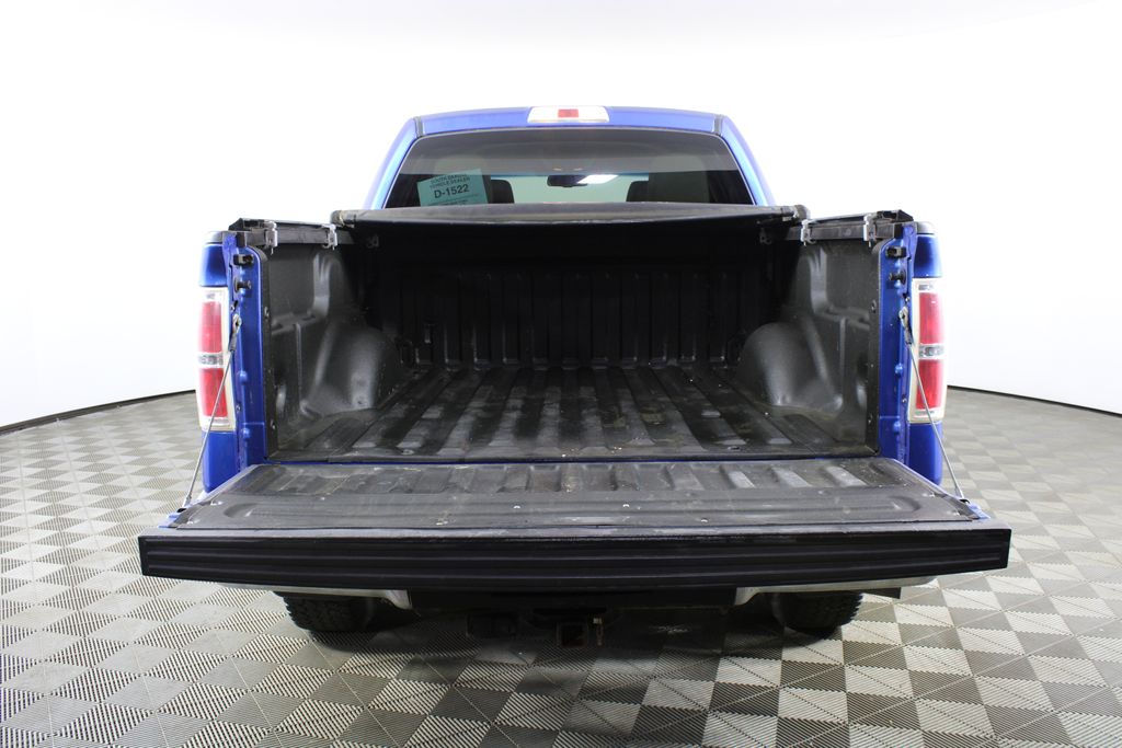 Used 2010 Ford F-150 for sale in 