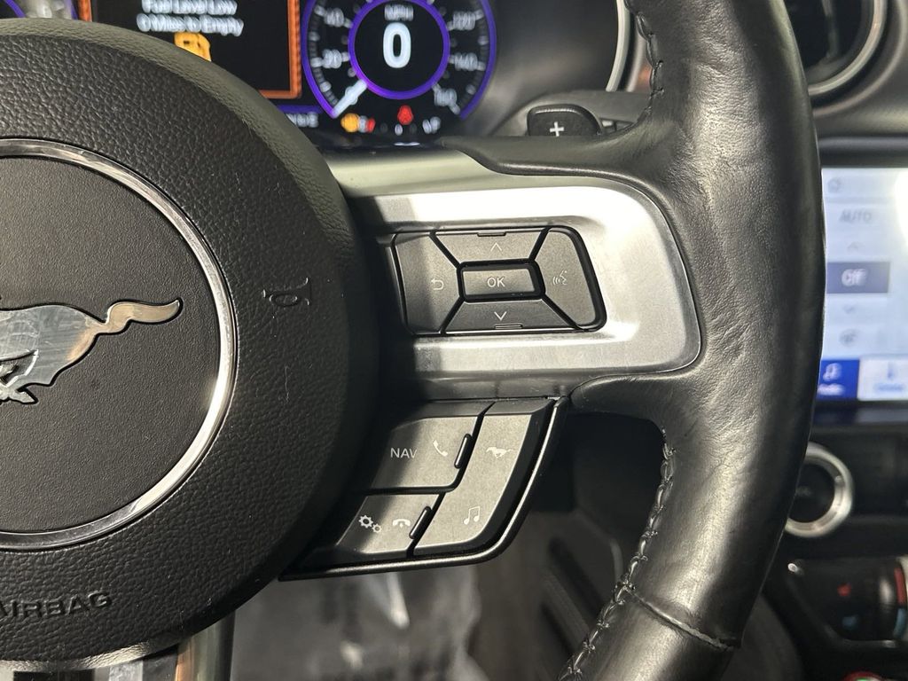 2019 Ford Mustang GT Premium 19