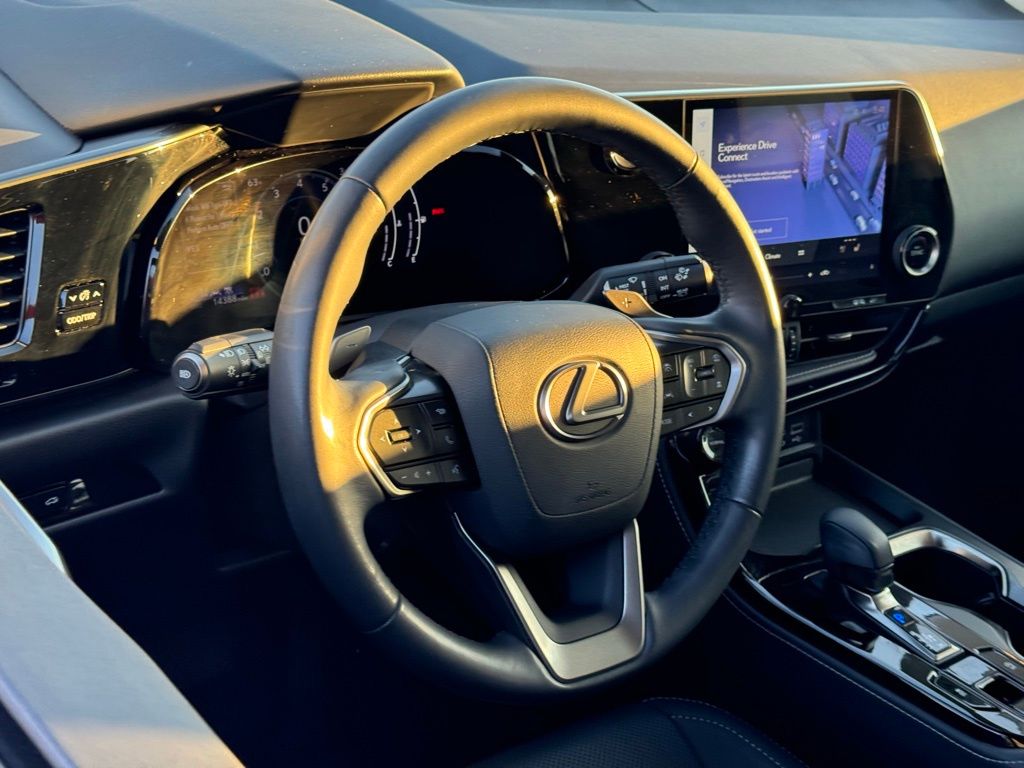 2024 Lexus NX 250 Premium 18