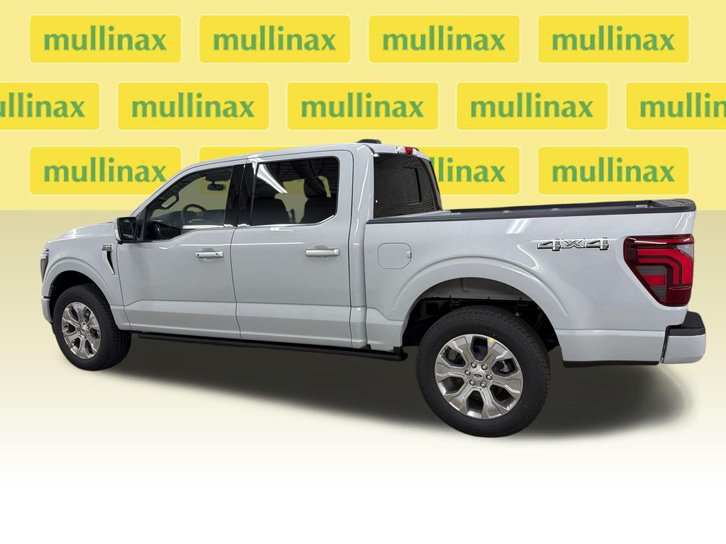 New 2026 White Ford Platinum image 10