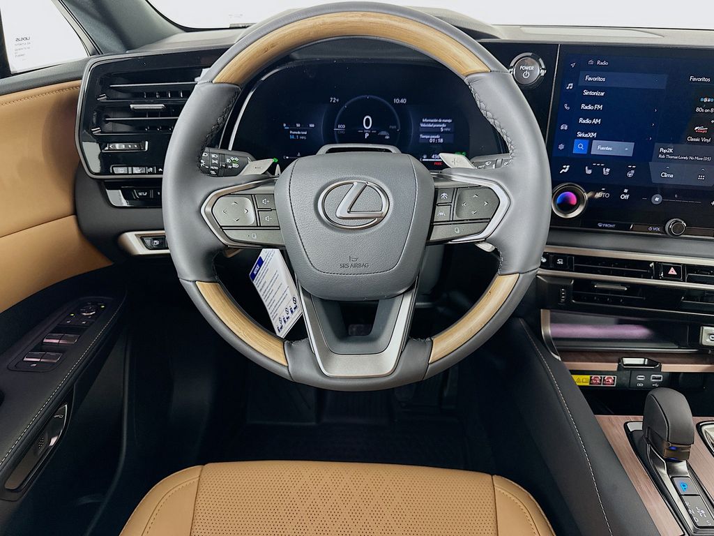 2025 Lexus RX  19