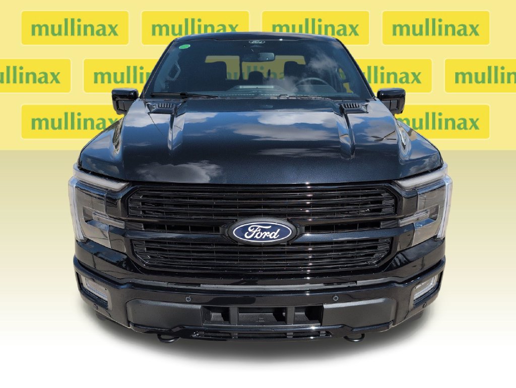 New 2026 Black Ford Platinum image 13