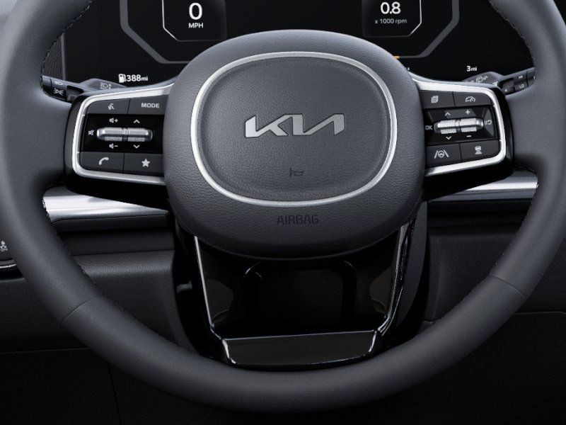 New 2026 Panthera Metal Kia SX image 22