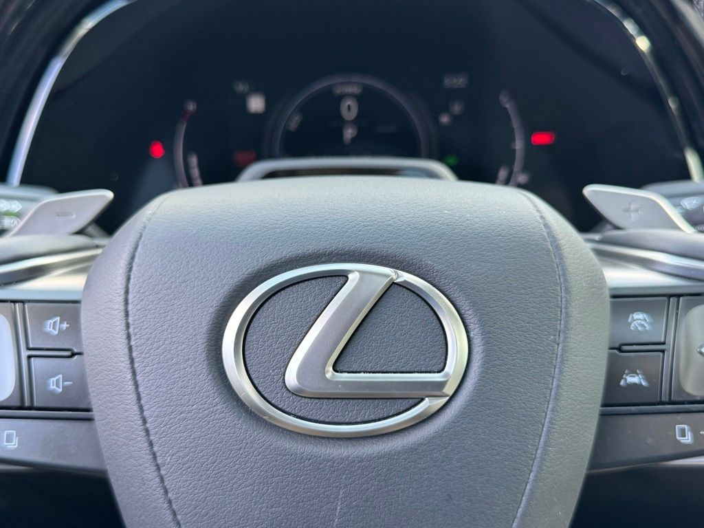 2024 Lexus RX 350 Luxury photo 26