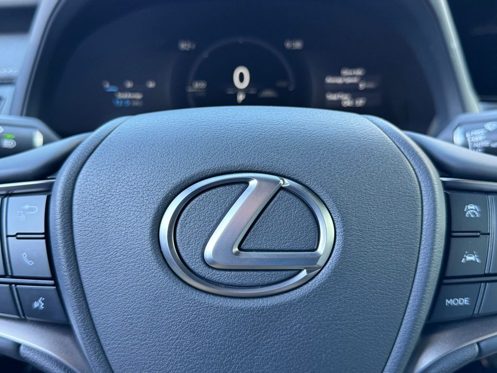 2025 Lexus UX 300h Premium 25