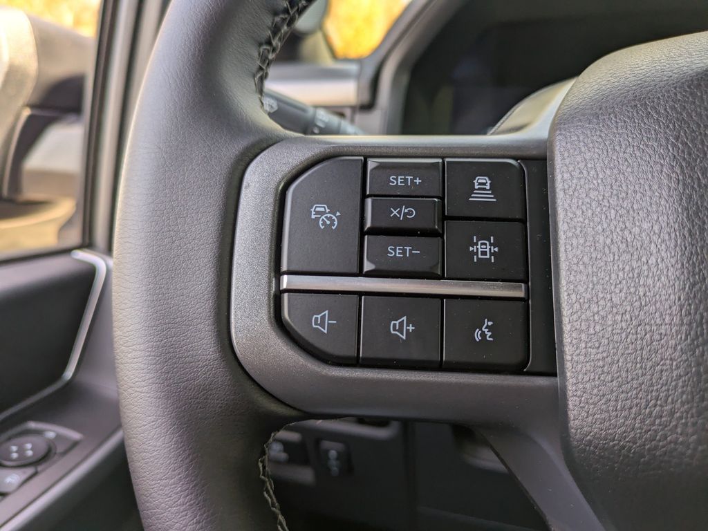 2026 Ford F-150 Black Widow