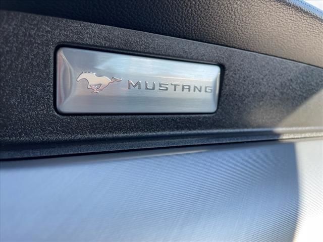 2021 Ford Mustang EcoBoost Premium 22