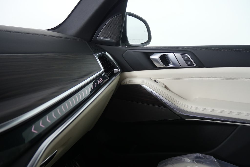 Thumbnail: 2026 BMW X5 - 25