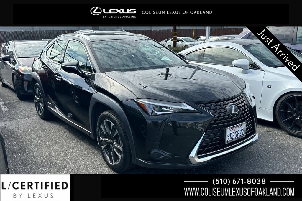 2020 Lexus UX Hybrid 250h AWD