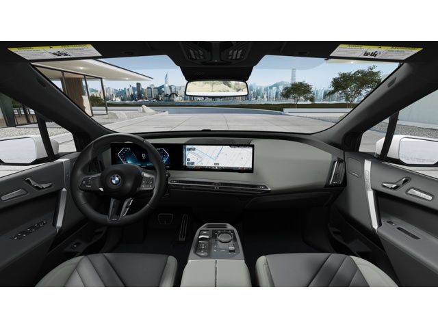 Thumbnail: 2026 BMW iX - 10