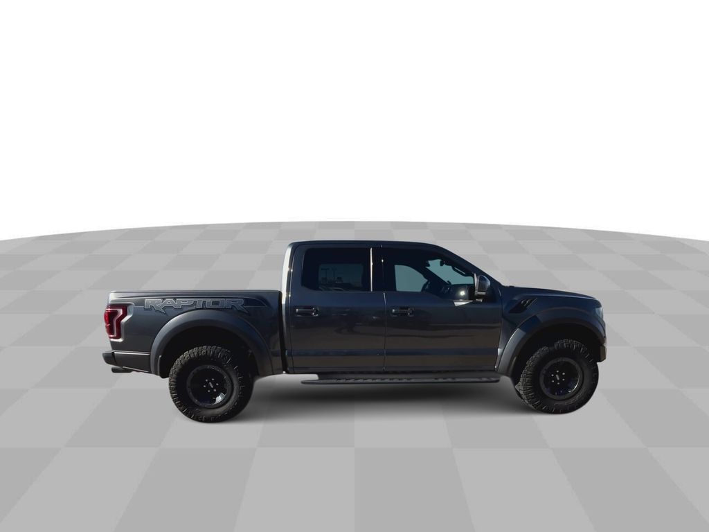 2018 Ford F-150 Raptor 9