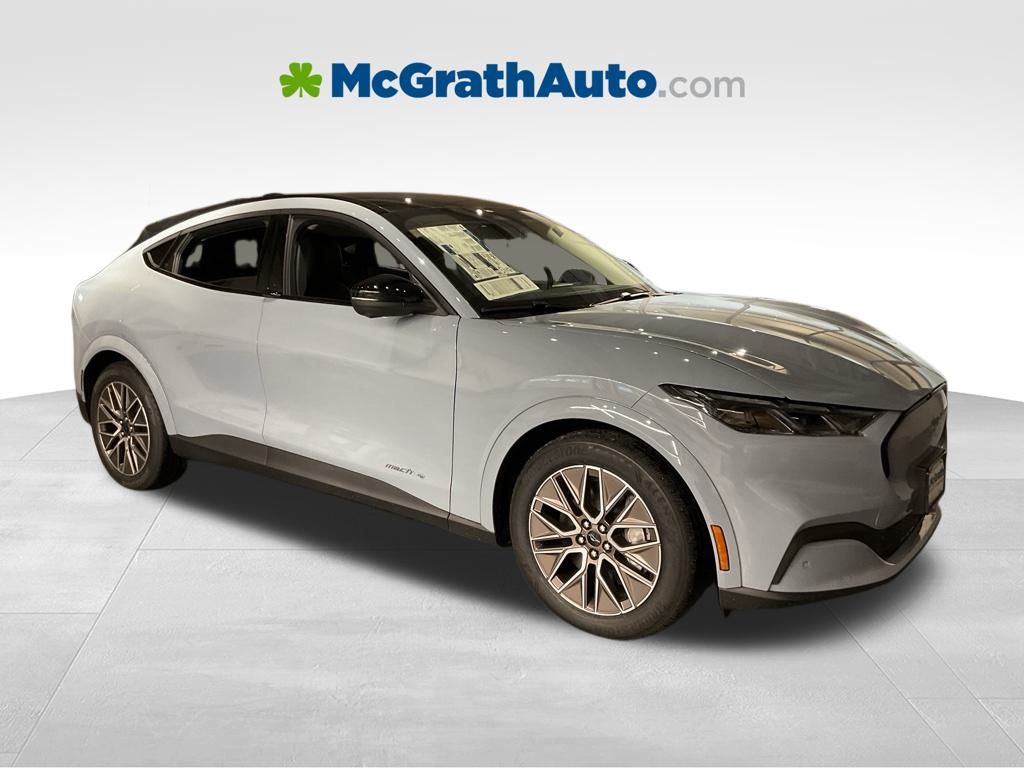 New 2025 Gray Ford Premium image 2