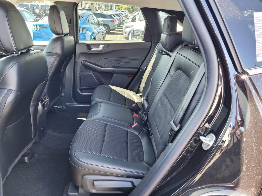Car Picture
