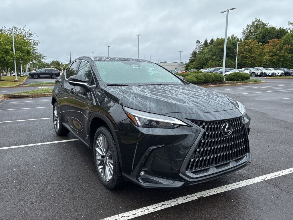 2025 Lexus NX 350 Premium AWD photo 6