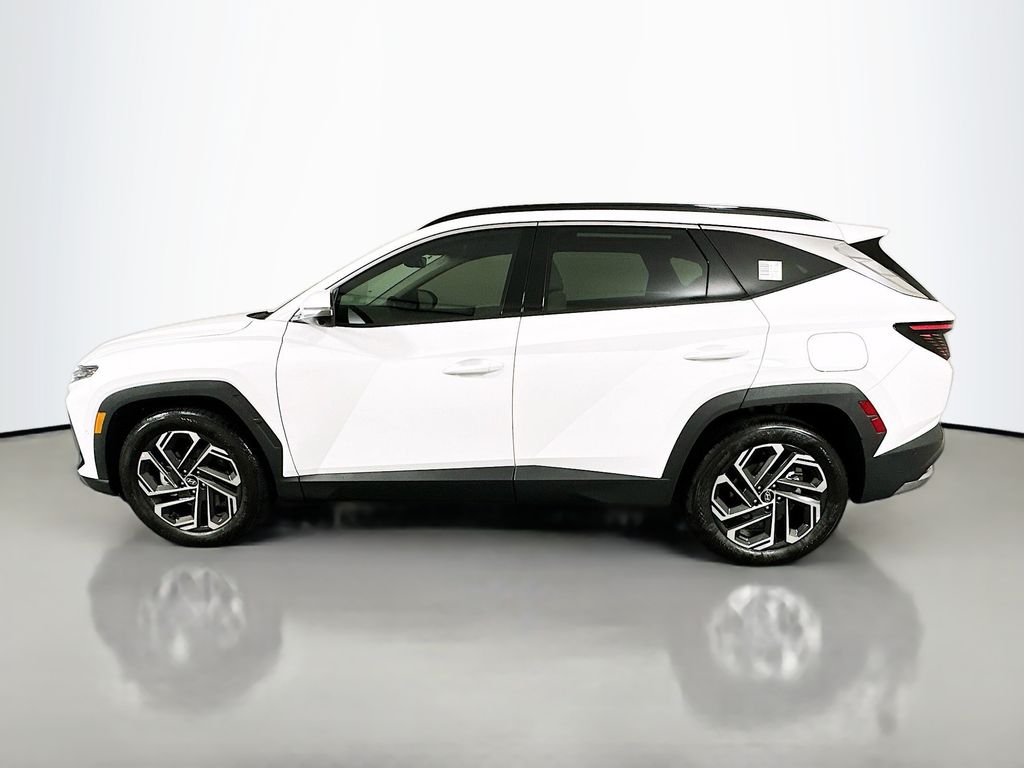 car-gallery-8
