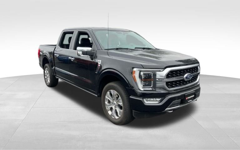 2021 Ford F-150 Platinum 3