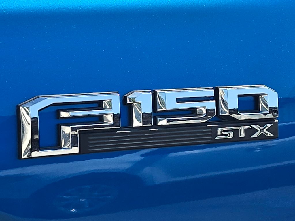 2019 Blue Metallic Ford F-150 XL 4X4 Truck