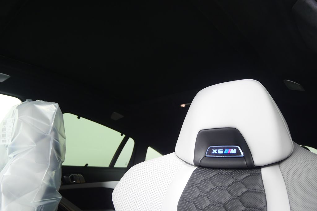 Thumbnail: 2026 BMW X6 - 14