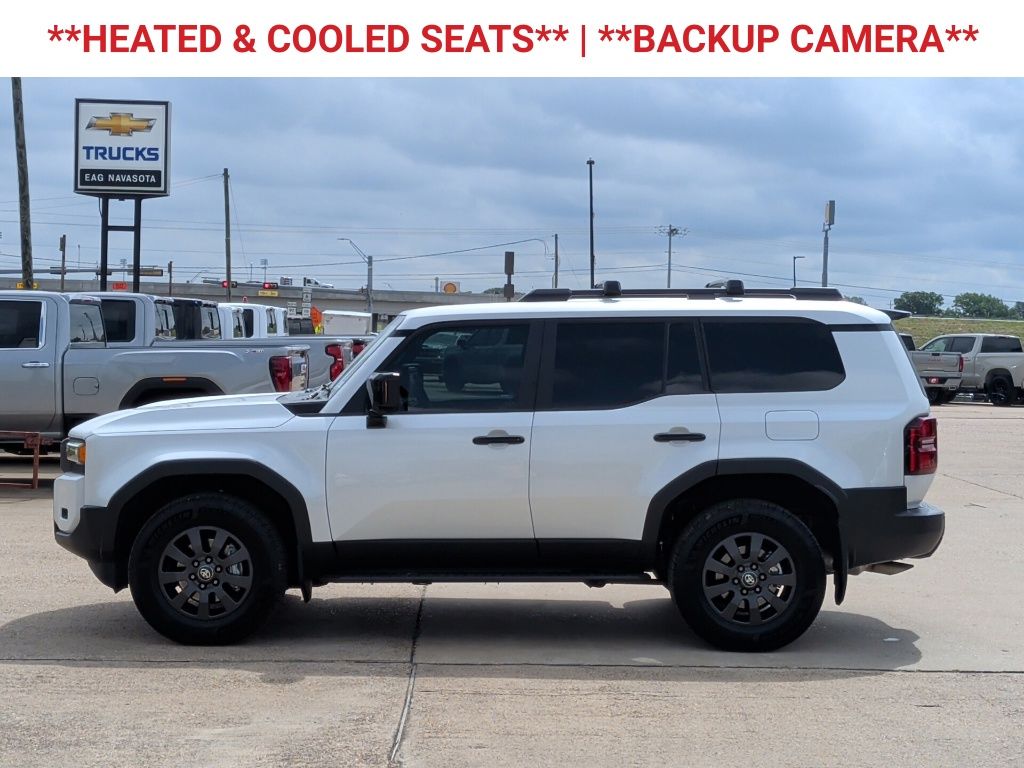2024 Toyota Land Cruiser Base Off-white at Don McGill Toyota