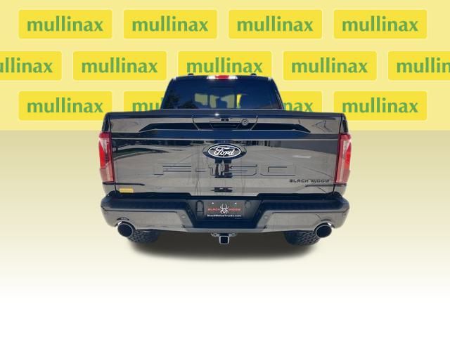 New 2024 Black Ford XLT BLACKWIDOW image 20