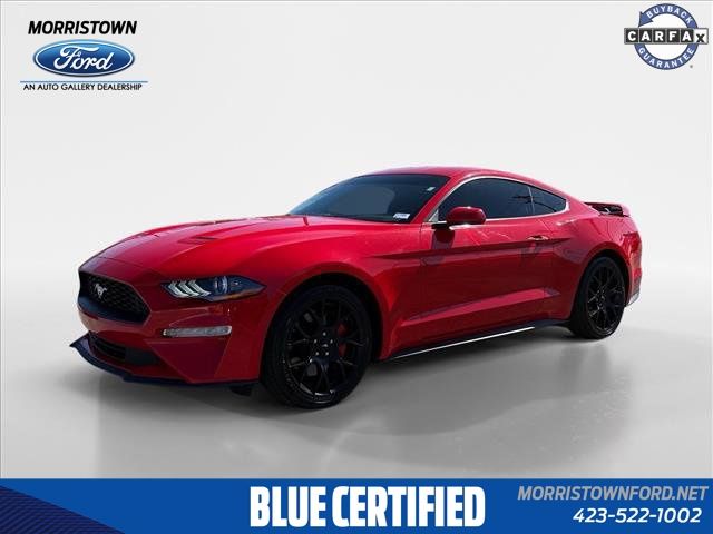 2019 Ford Mustang EcoBoost Coupe RWD