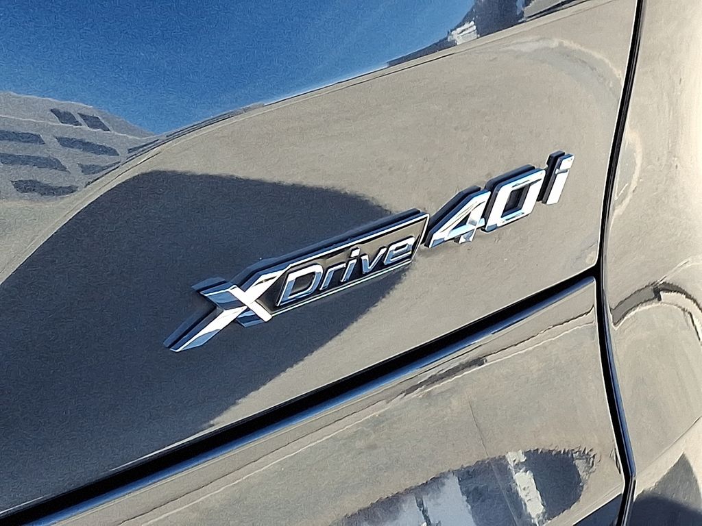 Thumbnail: 2019 BMW X5 - 30