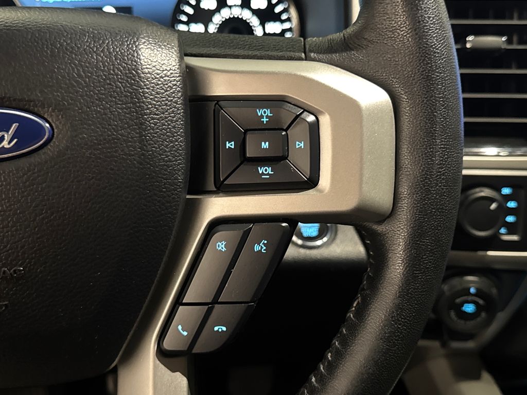 2020 Magnetic Ford F-150 Lariat 4X4 Truck