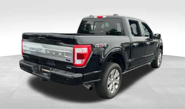 2021 Ford F-150 Platinum 6