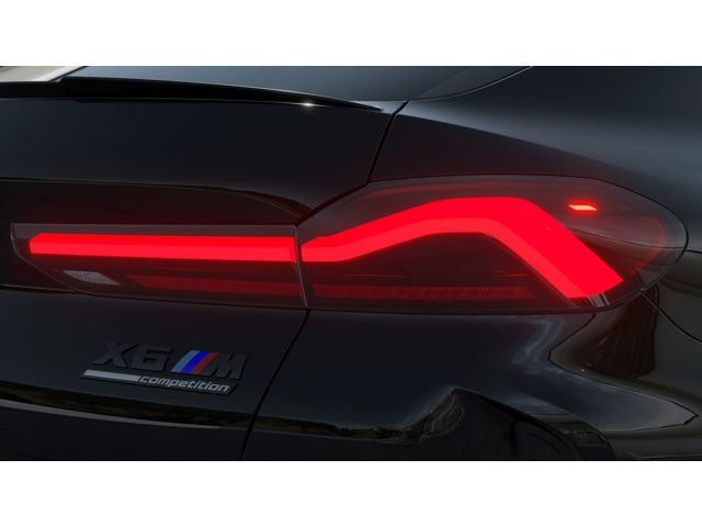 Thumbnail: 2026 BMW X6 - 8