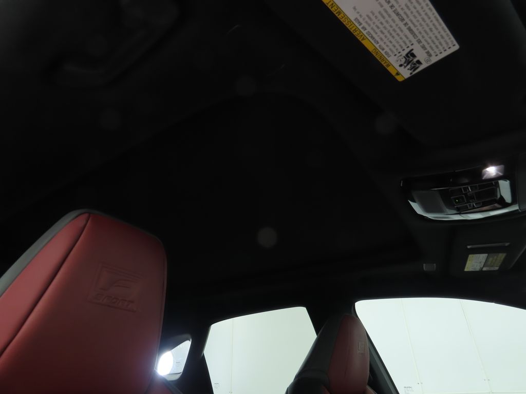 2023 Lexus RX Hybrid 500h F Sport Performance 19