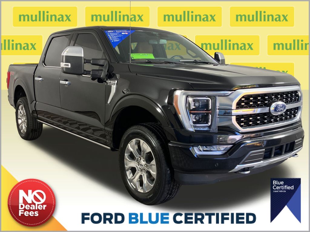 2021 Ford F-150 Platinum's photo