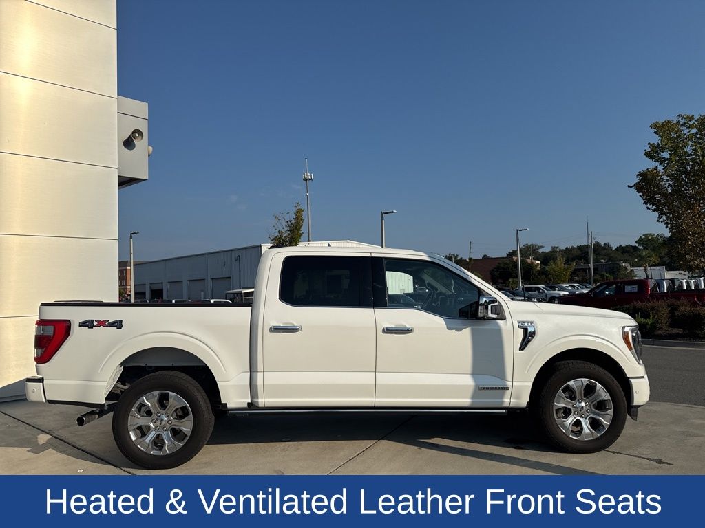 2022 Ford F-150 Platinum