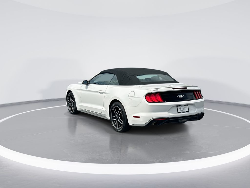 2019 Ford Mustang EcoBoost Premium - 5