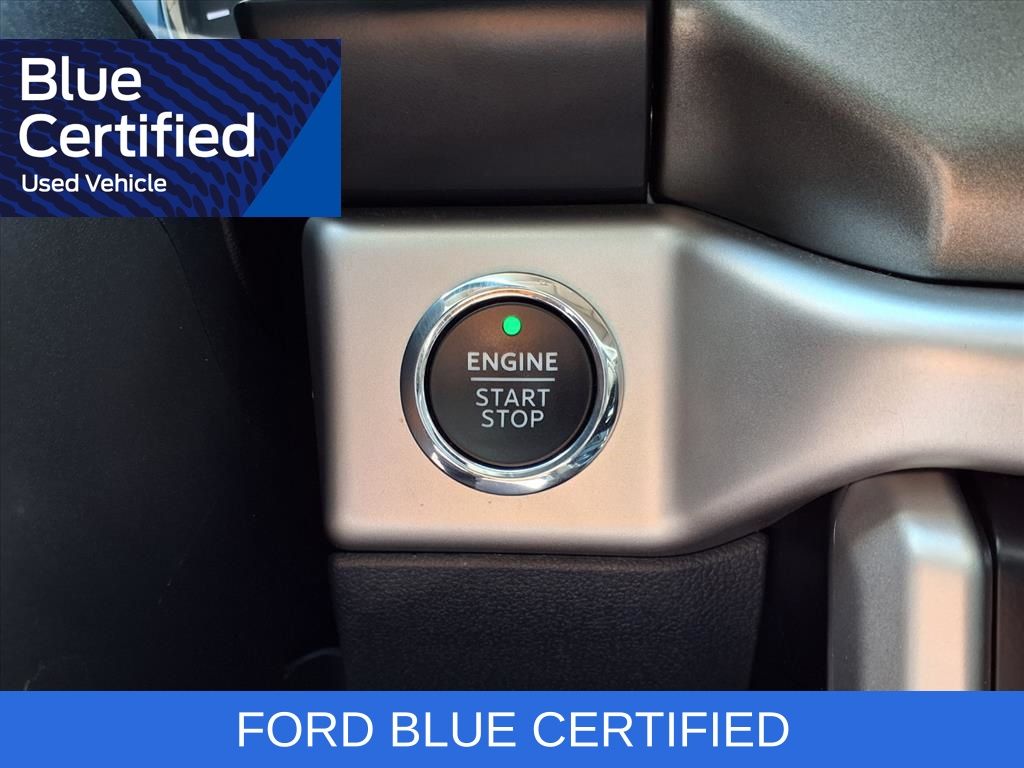 2023 Ford Expedition Max XLT Green at Wharton Ford