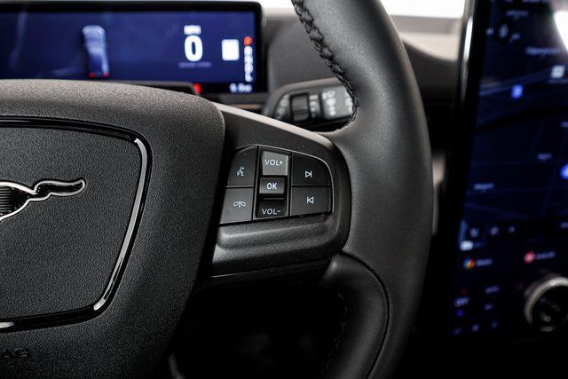 New 2023 White Ford California Route 1 image 19