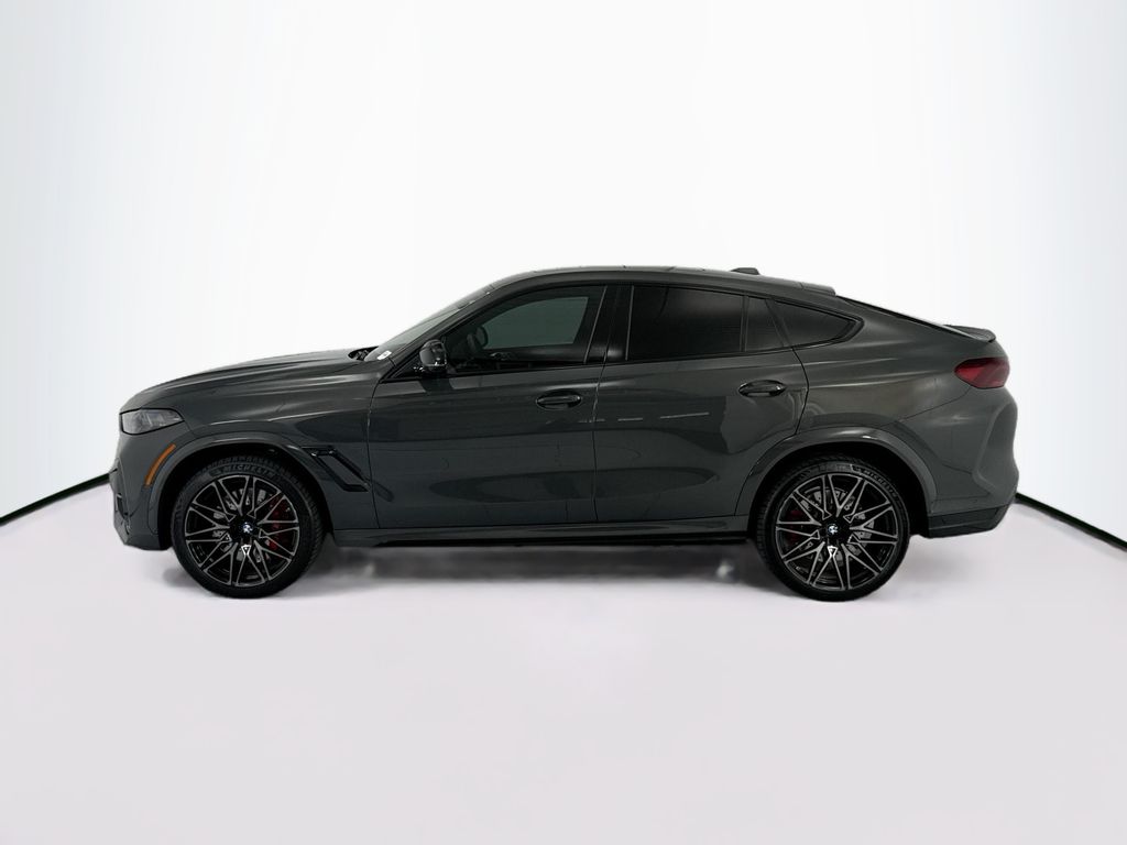 Thumbnail: 2025 BMW X6 - 8
