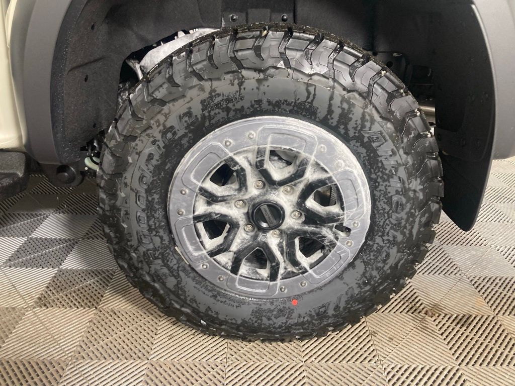 New 2025 Beige Ford Raptor image 22