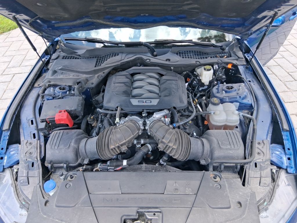 Used 2024 Blue Ford GT image 8