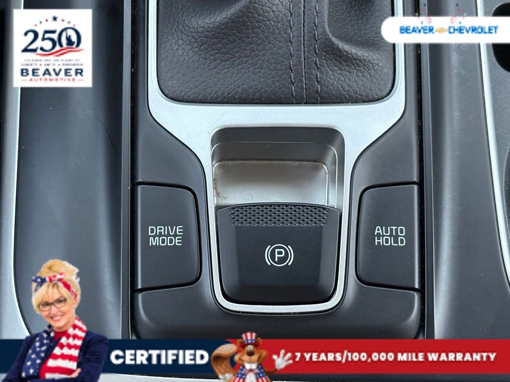 Used 2024 Kia Carnival Van