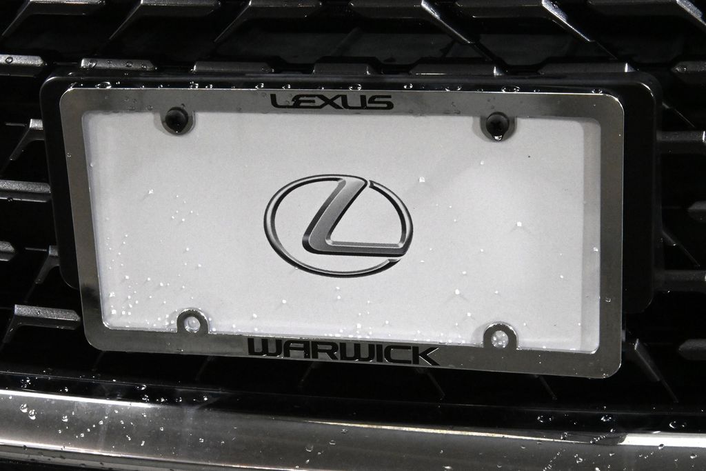 2020 Lexus RX Hybrid 450hL 14