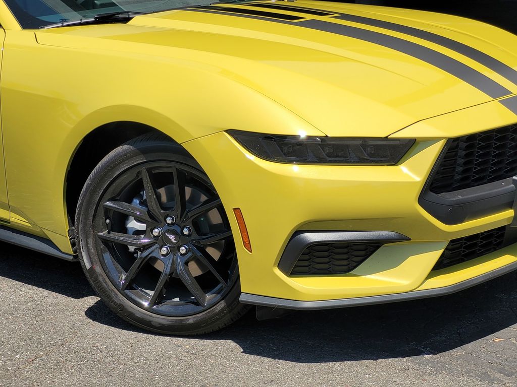 Car Picture