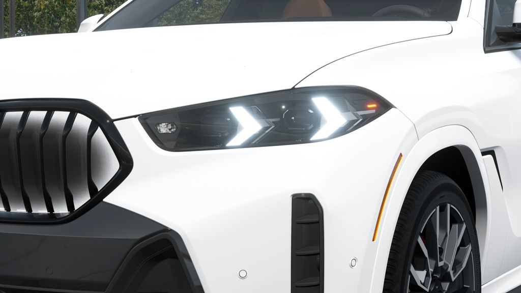 Thumbnail: 2027 BMW X6 - 29