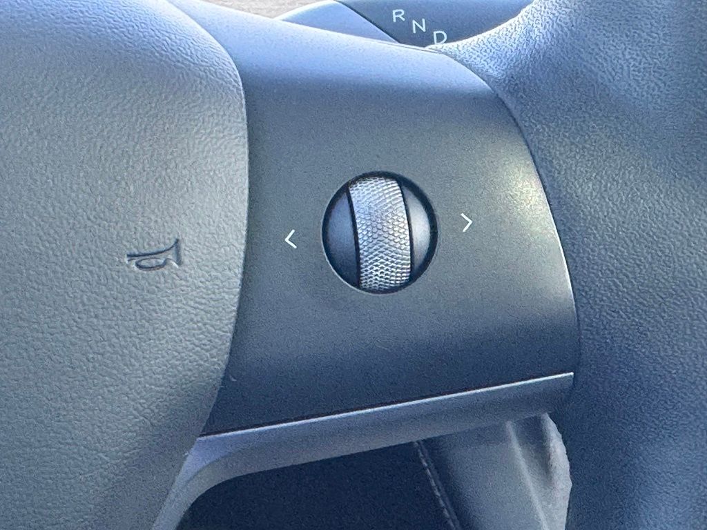 TeslaModel 39