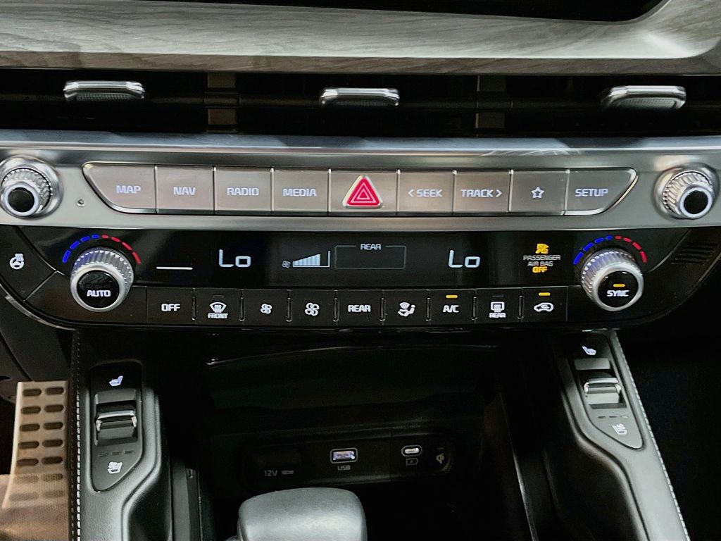 Used 2025 Panthera Metal Kia SX X-Line image 16