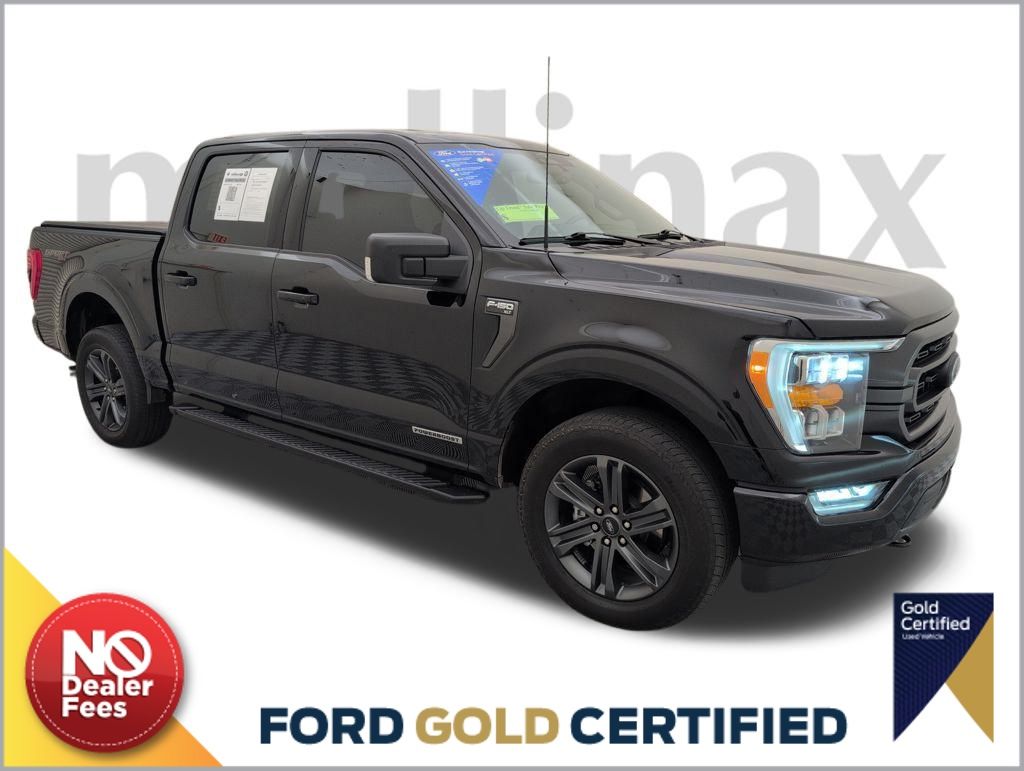 2023 Ford F-150 XLT's photo