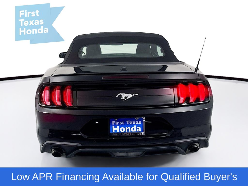 Used Car 2023 Ford Mustang  Ecoboost Premium For Sale Under $30,000 In Austin, Texas