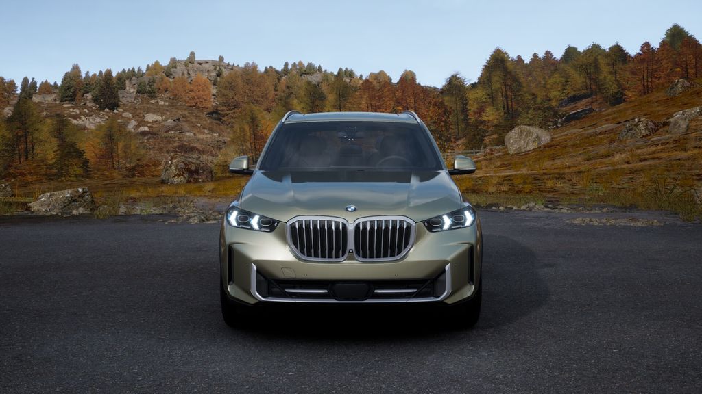 2025 BMW X5 sDrive40i 31