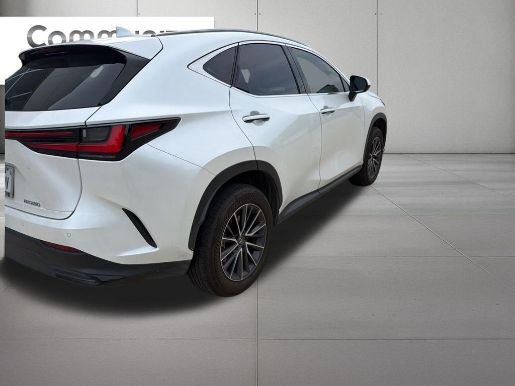 2025 Lexus NX 250 Premium  at Westside Lexus