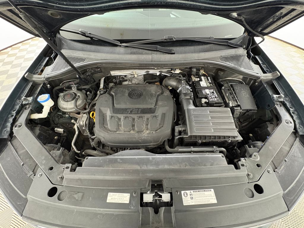 2019 Dark Moss Green Metallic Volkswagen Tiguan 2.0T SE FWD SUV