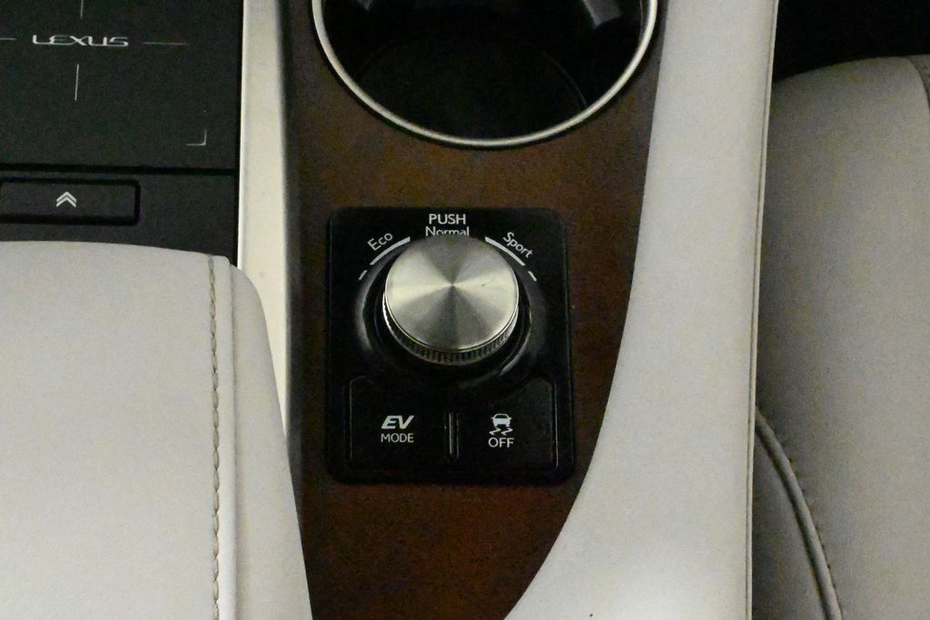 2020 Lexus RX Hybrid 450hL 27